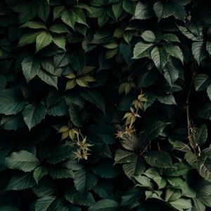 Meet your Posher, Pooja